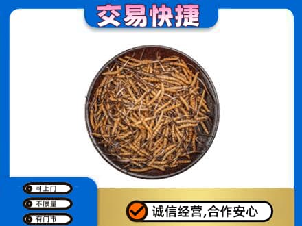 恩施礼品回收虫草.jpg