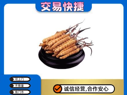 恩施礼品回收散虫草.jpg